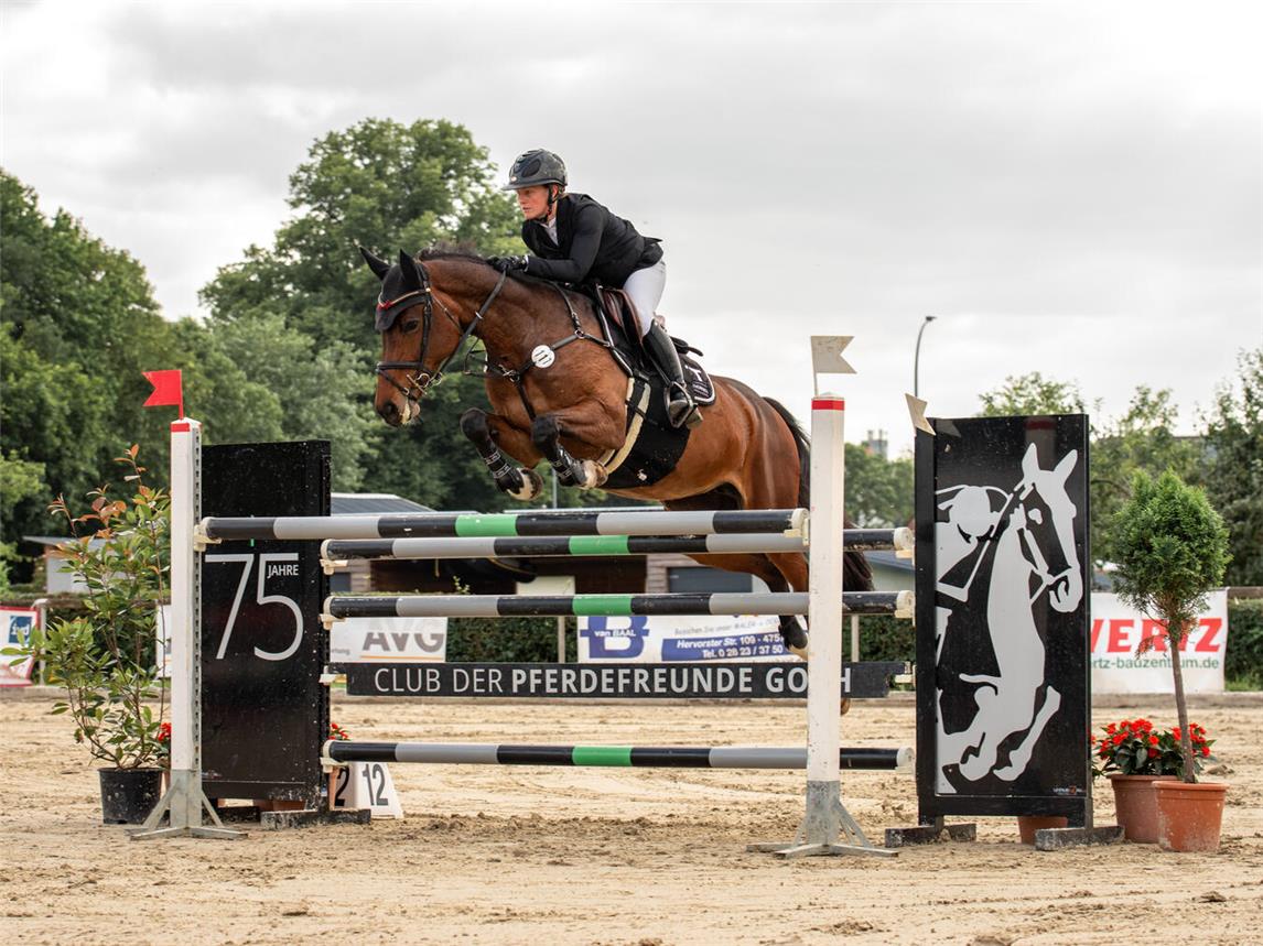 Den Zuschauern wird an den beiden Prüfungstagen spannender Pferdesport geboten. Foto: Isabell Sauels Pferdefotografie