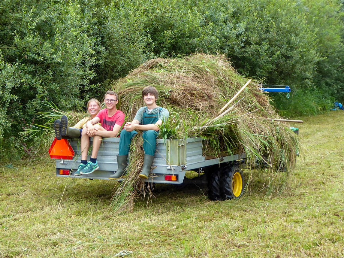 "Freiwillige bei Landschaftspflege im Einsatz, NABU-Naturschutzstation Niederrhein"