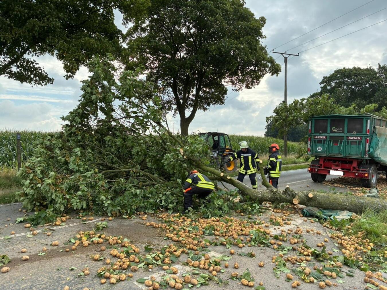 Traktor verliert Ladung, Baum stürzt auf Straße Der Anhänger wurde beim Unfall beschädigt und verlor einen Teil seiner Ladung. Foto: FFW Bedburg-Hau