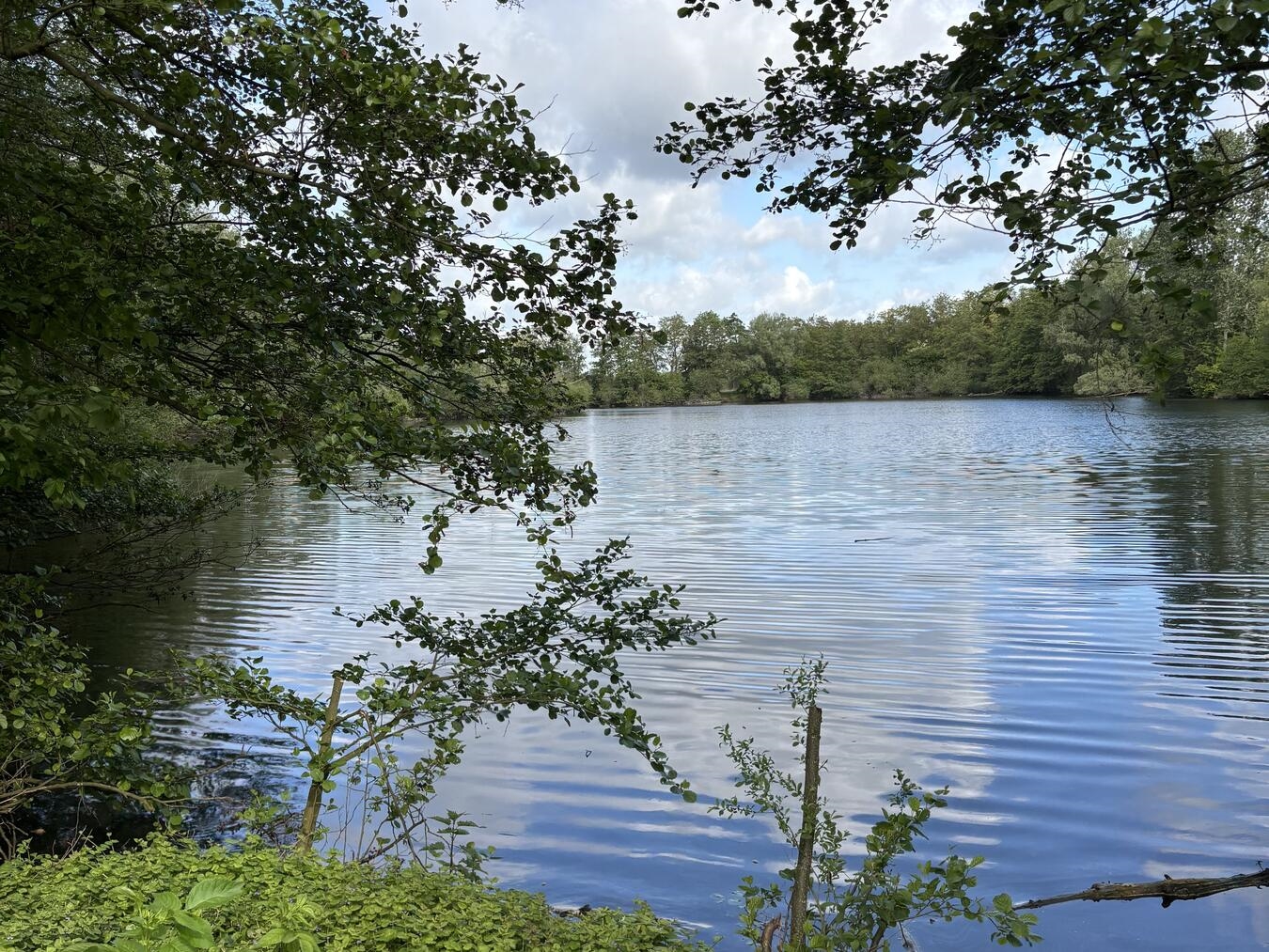 "Idyllischer Balmanssee in Sevelen, umgeben von Bergen und Natur, bei sonnigem Wetter"