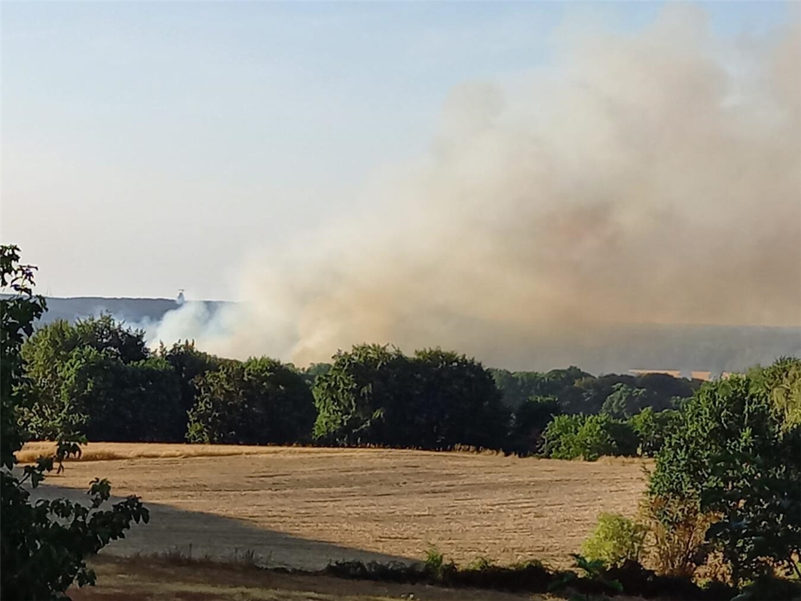 Der Brand im Tüschenwald war weithin sichtbar. Foto: privat