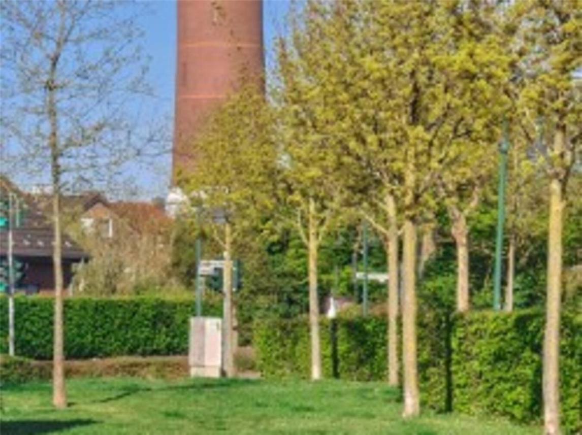 "DialogPunkt Kevelaer thematisiert Stadtgrün, Foto von Florian Gaisrucker"