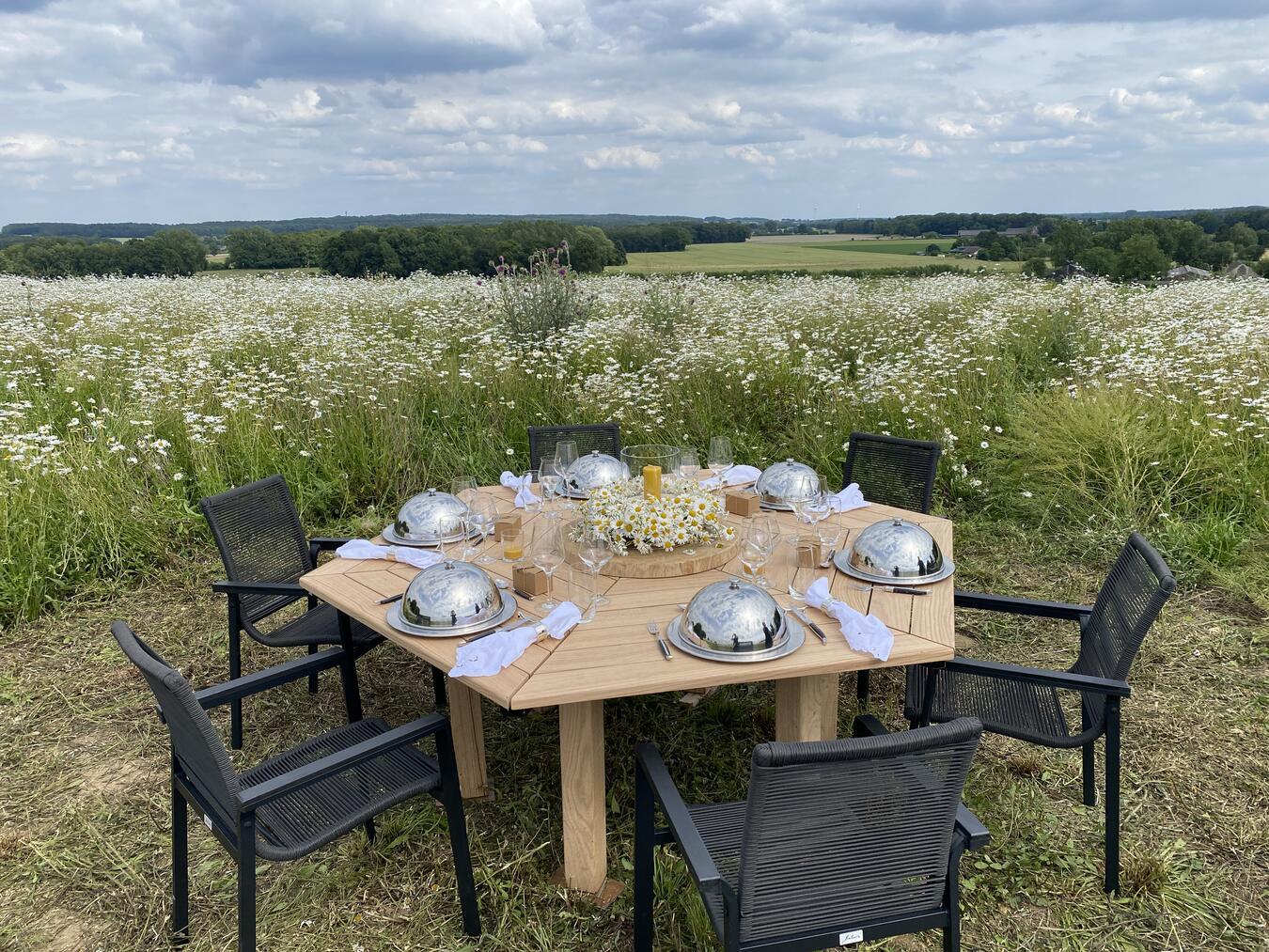 Dinner auf der Bienenweide Der Dinnertisch mitten in der Bienenweide wartet auf die Gäste.