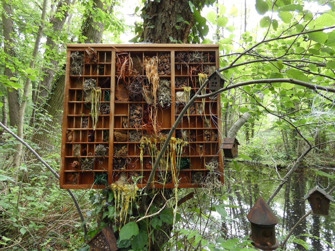 "Besucher genießen Kunst im Freien beim dritten Forrestartwalk in einzigartiger Waldlandschaft."