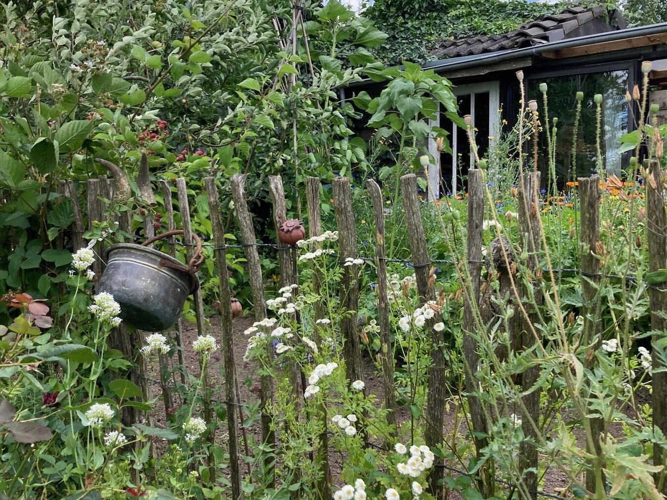 Der Eintritt für alle offenen Inselgärten beträgt vier Euro. Foto: WTM