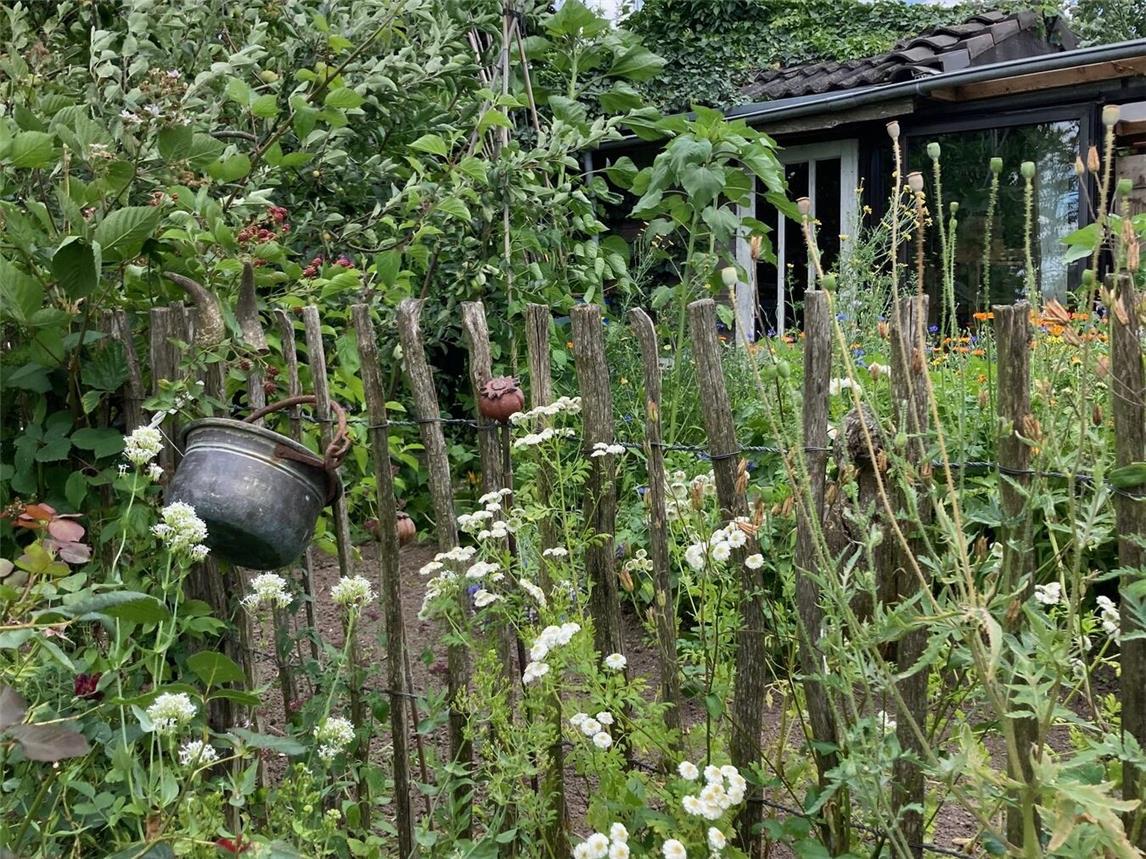 Der Eintritt für alle offenen Inselgärten beträgt vier Euro. Foto: WTM