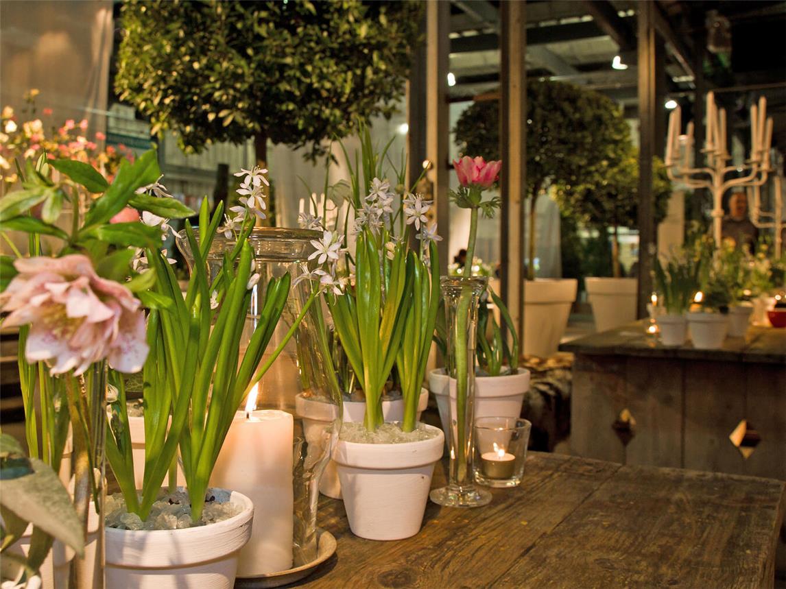 Der Frühling zieht in die SSP-Halle in Ulft ein – NN verlosen Tickets.Foto: Overbeek