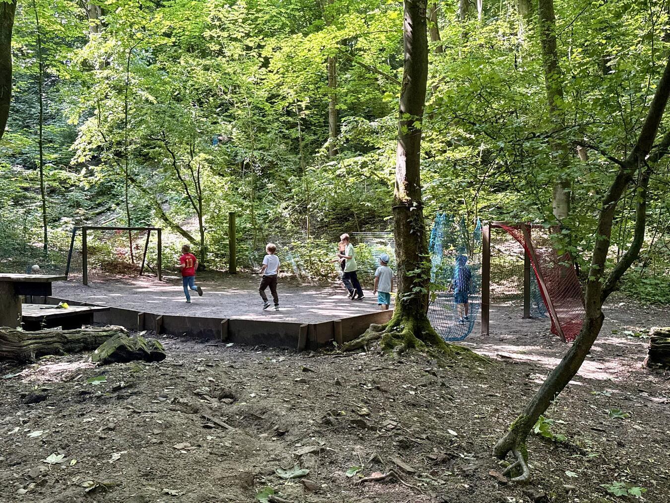 Der Fußballplatz ist idyllisch im Wald gelegen. NN-Foto: SP