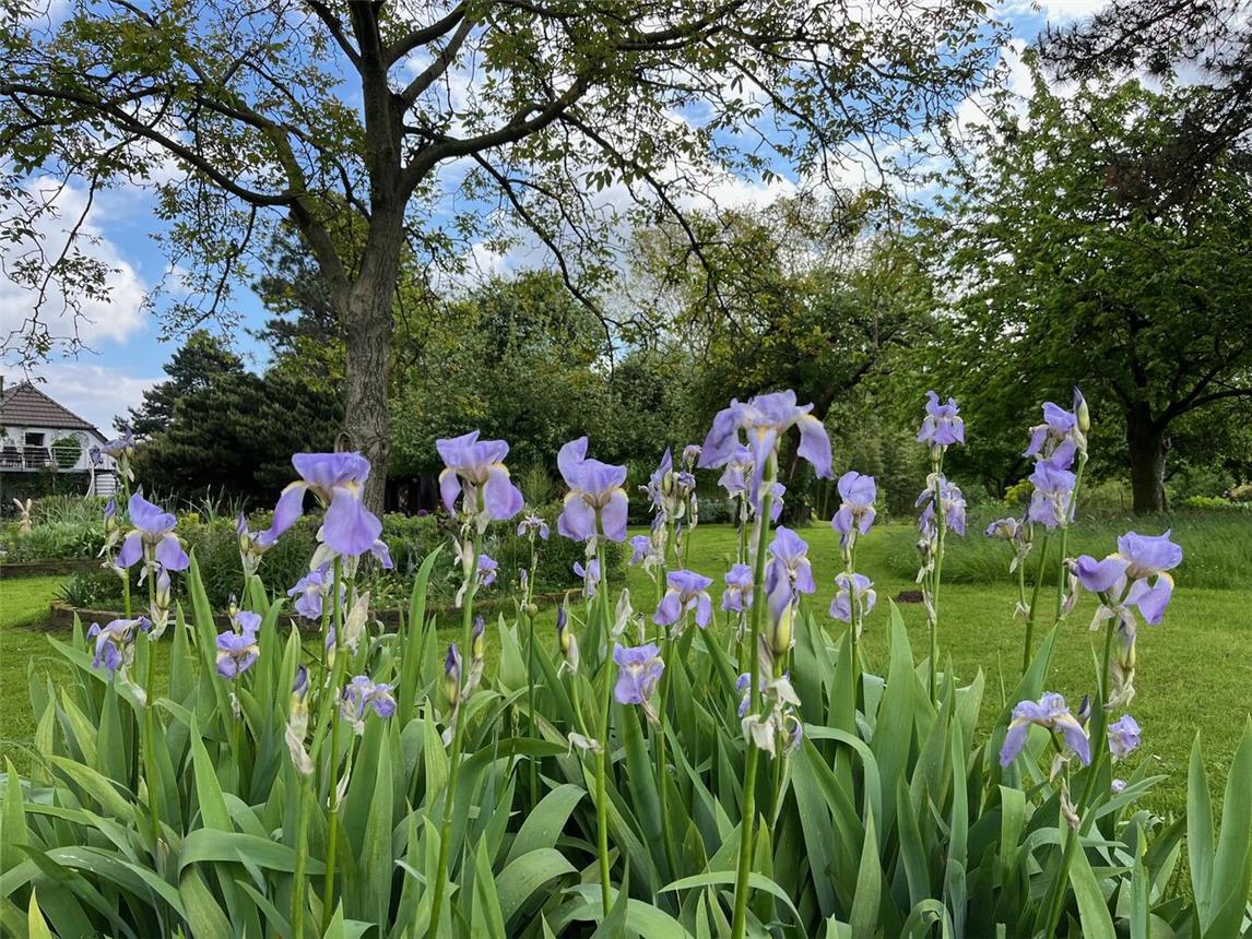 Der Garten Am Rheindeich in Kalkar. Foto: WTM