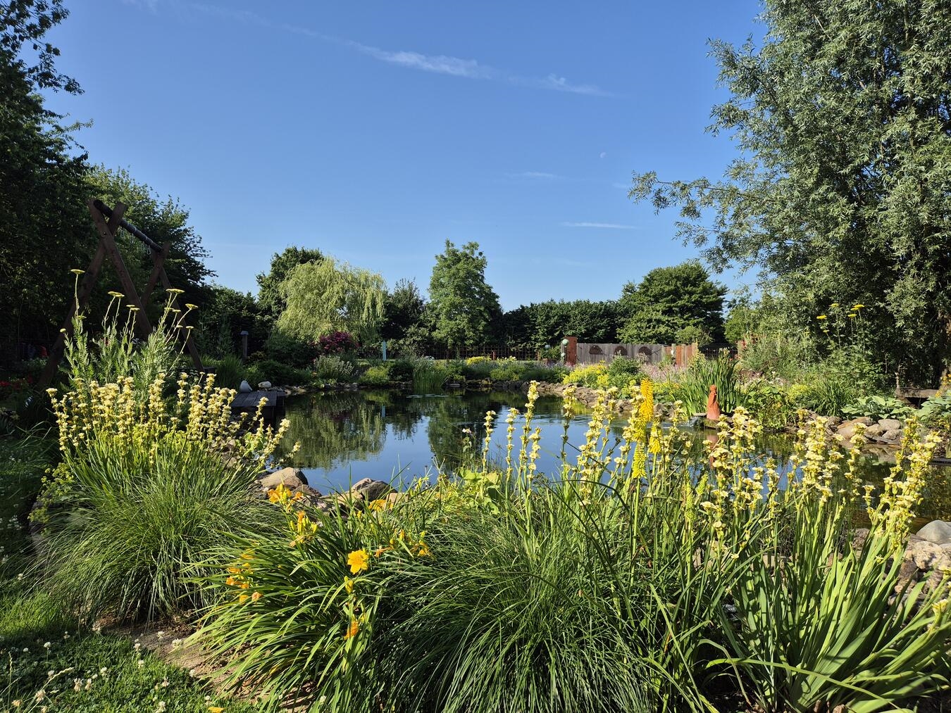 "Blühender Garten Hortulus in Emmerich, eröffnet am 12. Juli, von Iris Hofmann fotografiert"