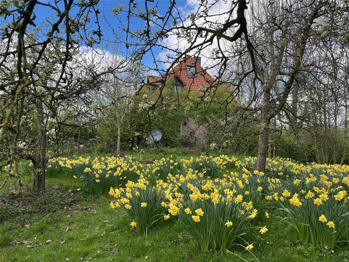Der Garten von Haus Eyl begeistert mit einem regelrechten Blütenmeer aus Narzissen, Tulpen und allerlei Frühlingsblühern. Foto: WTM