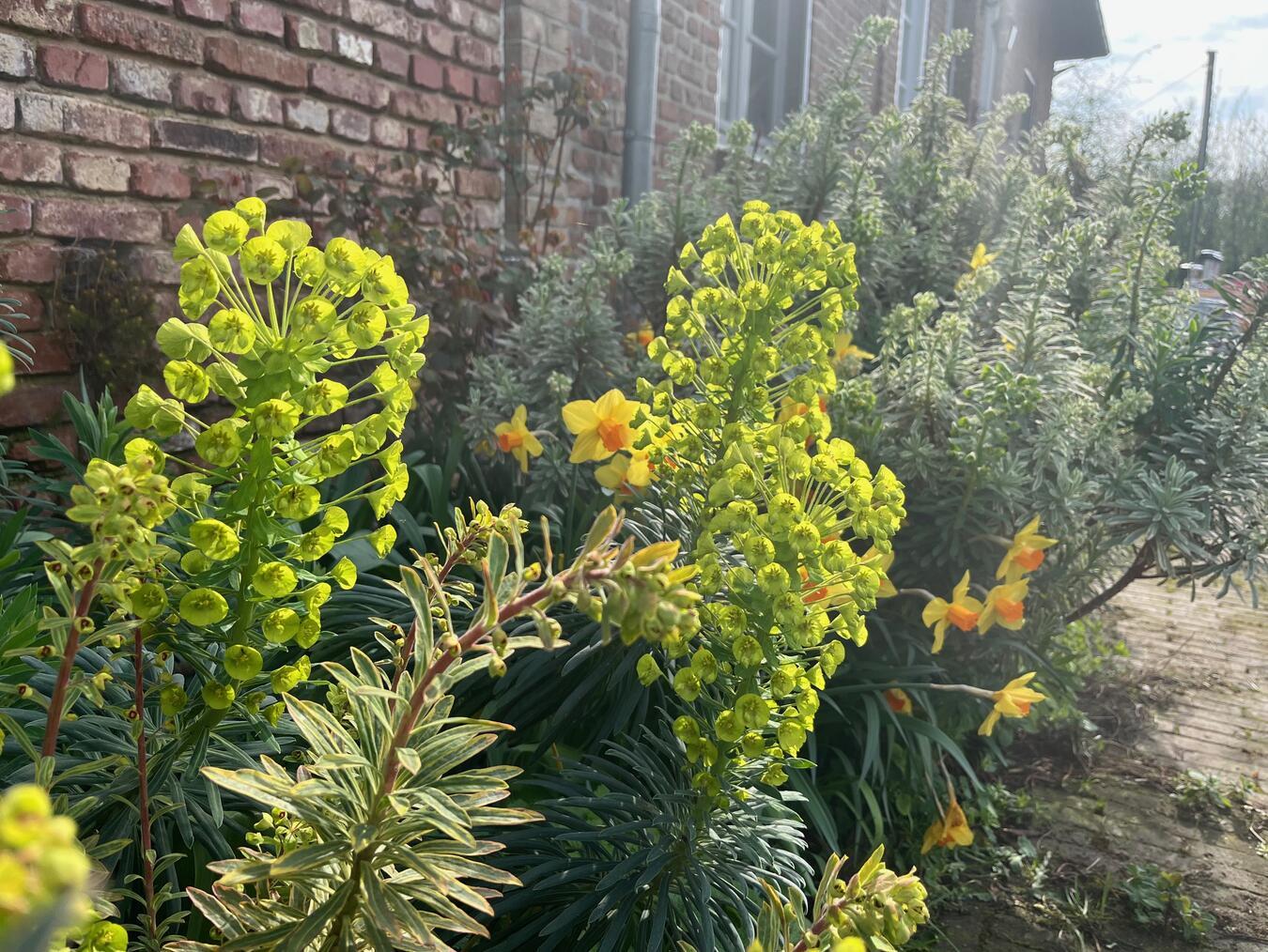 Der Garten von Haus Eyl. Foto: WTM Kleve