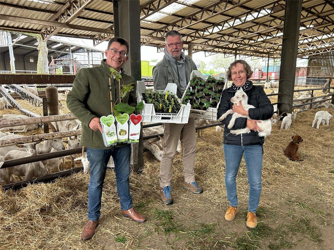 Der große Jungpflanzenmarkt findet am letzten Aprilwochenende statt. Foto: LiKK