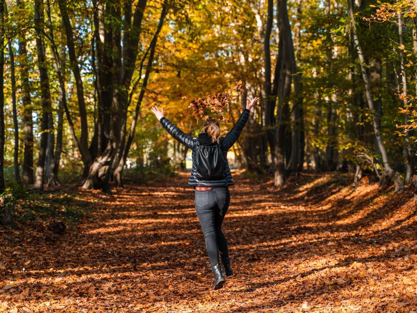 Der Herbst mit seiner Farbenpracht bietet viele Gelegenheiten, die Region zu entdecken. Foto: gymi media