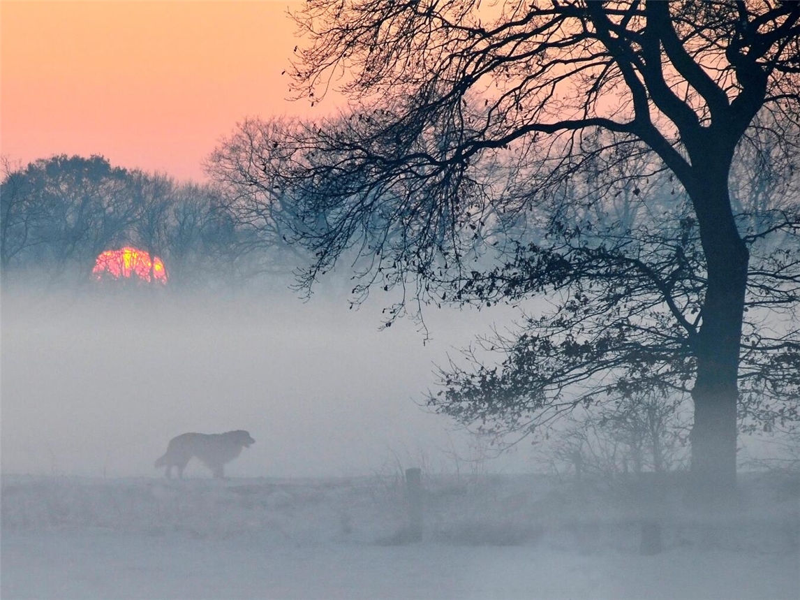 Der Kalender gibt wundervolle Einblicke in die „Kleinen Welten“ vor der eigenen Haustür. Foto: Christian Behrens