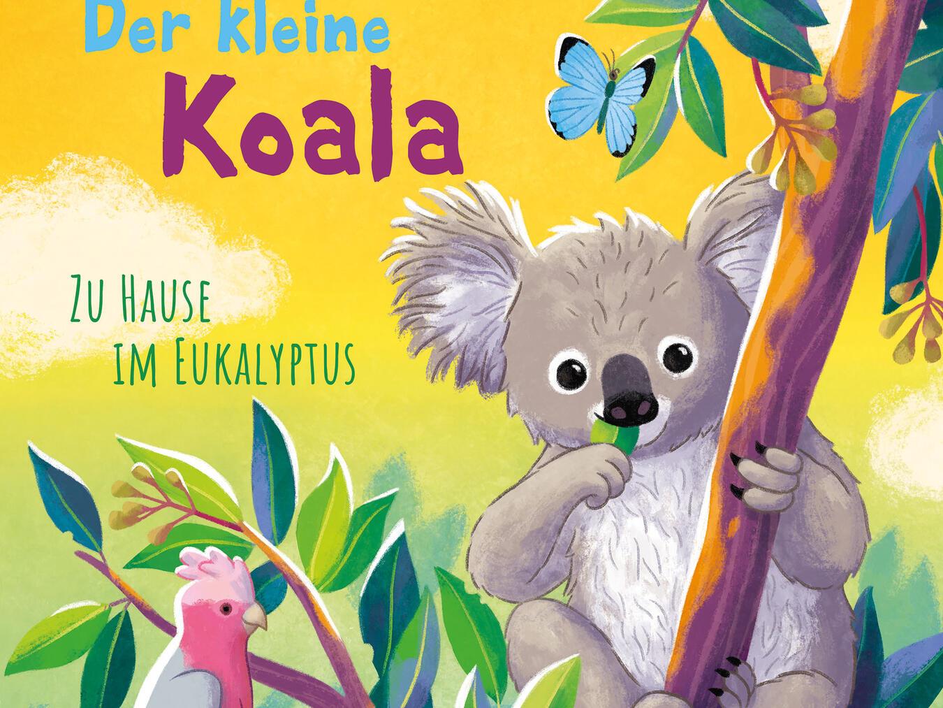 Der kleine Koala ist neugierig und erkundet seine Umgebung ganz genau. Foto: Magellan Verlag
