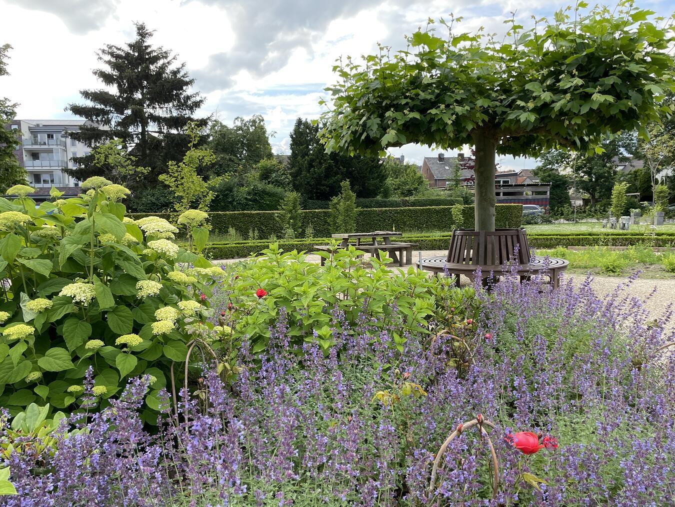 Der Kneipp-Kräutergarten am St.-Martinus-Stift in Elten. Foto: privat