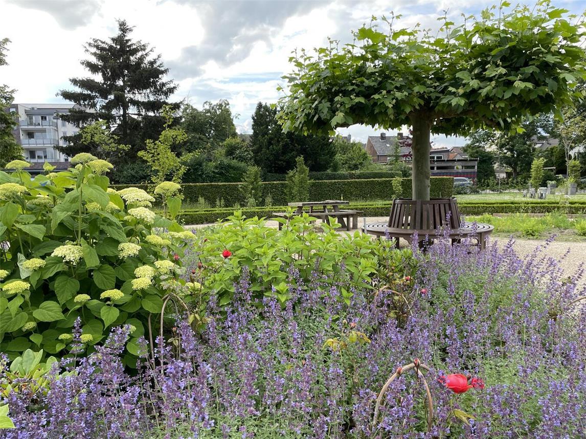 Der Kneipp-Kräutergarten am St.-Martinus-Stift in Elten. Foto: privat