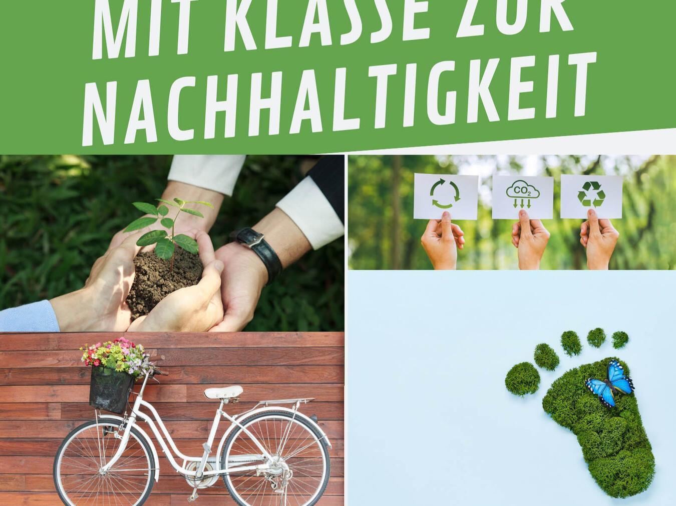 Der kommende Klima-, Umwelt- und Nachhaltigkeitspreis der Stadt Straelen richtet sich an alle Straelener Schulen. Foto: privat