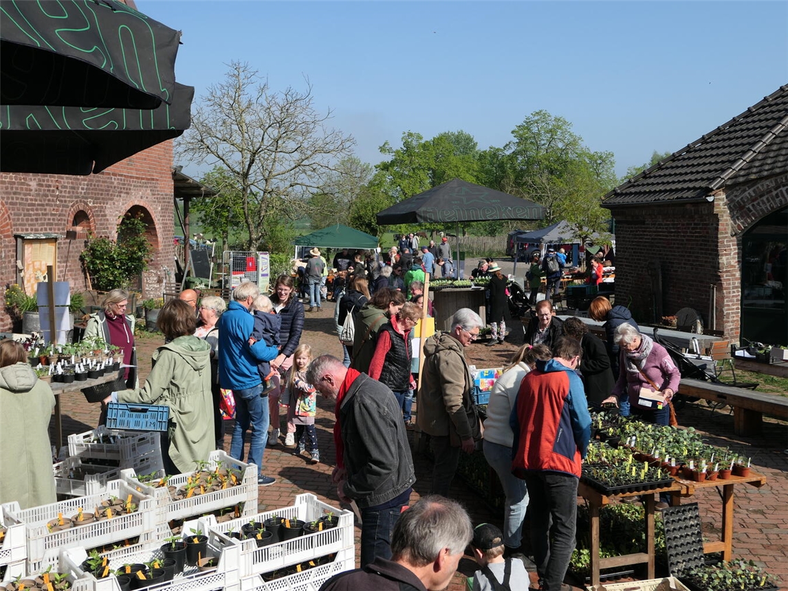 Der LiKK lädt zum großen Jungpflanzenmarkt nach Kervenheim ein. Foto: LiKK