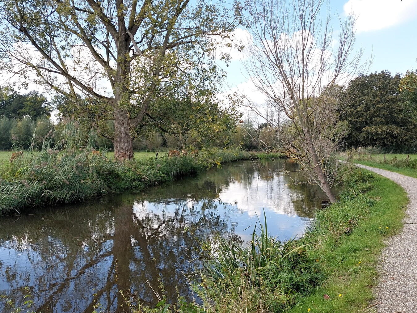 "Wanderer auf dem Maas-Niederrheinpfad durchqueren malerische Landschaften an der deutsch-niederländischen Grenze"