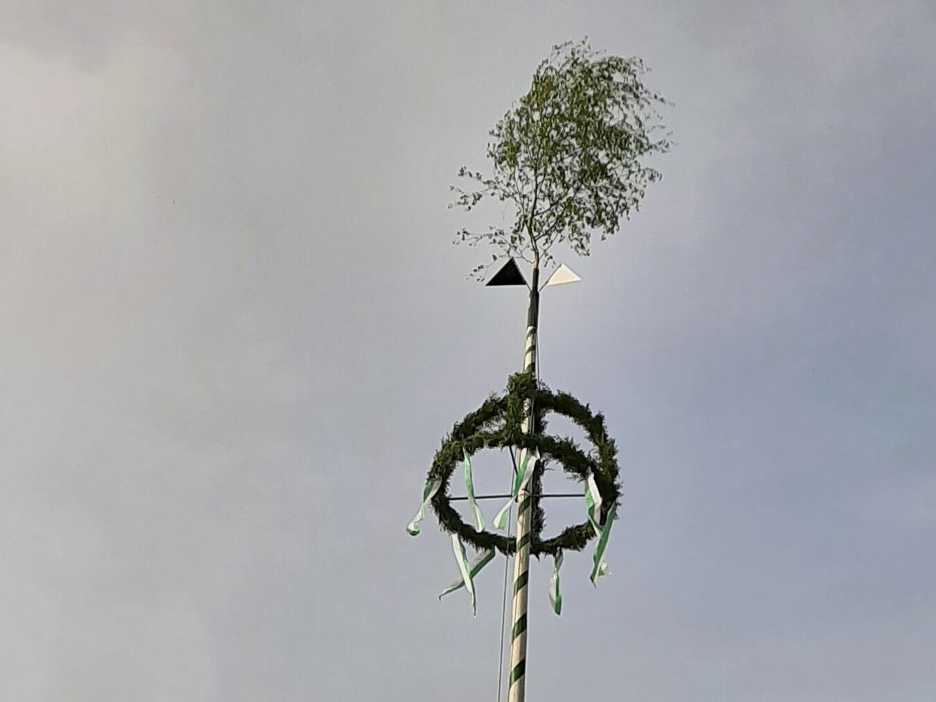 "Traditionelles Maibaum-Aufstellen am Pfälzerheim, Foto von A. Brands"