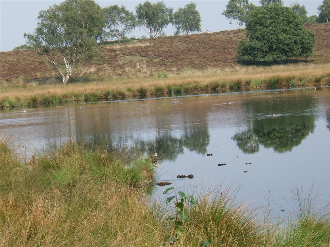 Der Nationalpark Maasduinen in den Niederlanden. Foto: privat