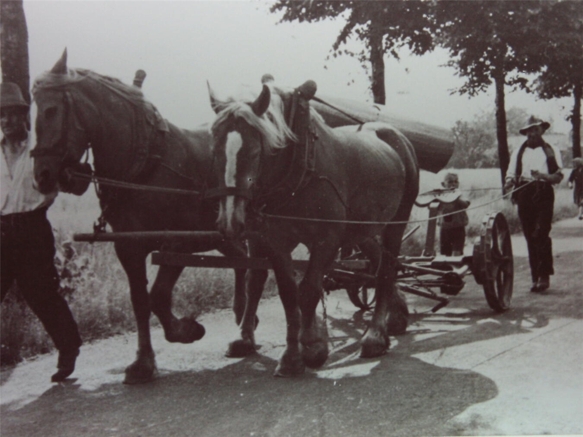 "Pole Aleks auf Bauernhof in Sonsbeck mit Familie, Foto von Thomas Grütters"
