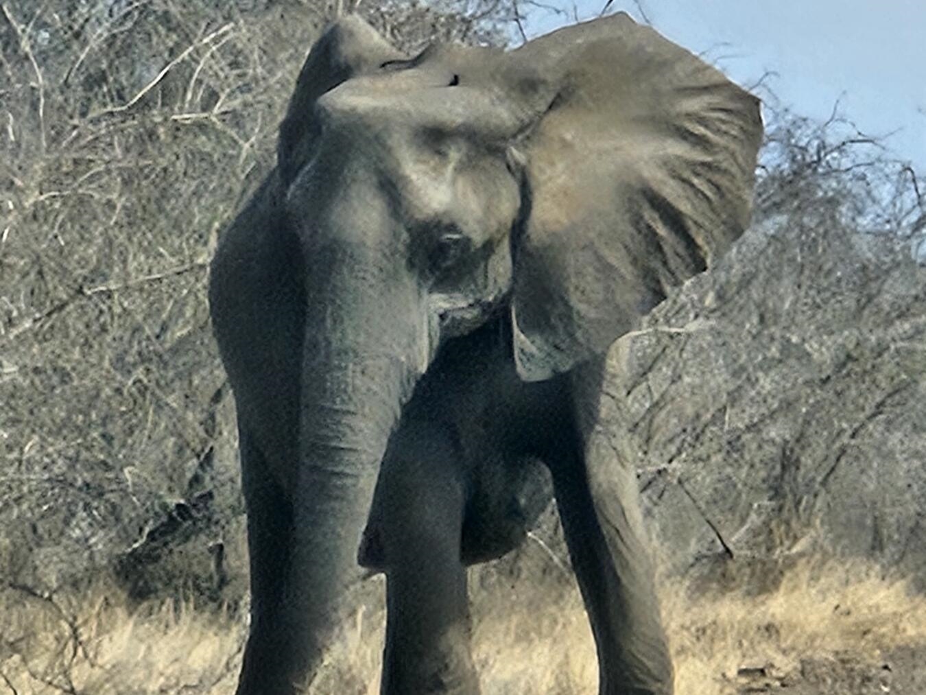 Der Presseclub Kleve macht Lust auf einen Urlaub in Namibia. NN-Foto: vs