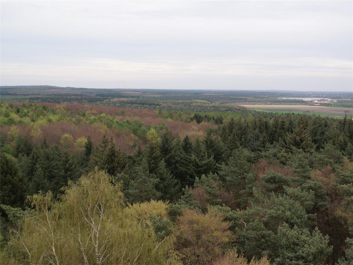Der Reichswald bei Kleve – für den BDF ist er als Nationalpark nicht geeignet. Foto (Archiv): Ton Peters