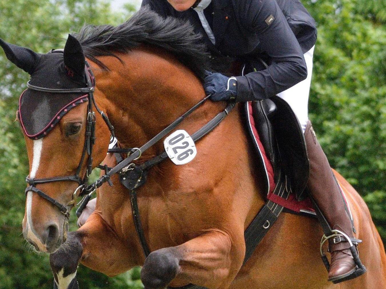 Der Reit- und Fahrverein Straelen lädt zum großen Sommerturnier ein.Foto: privat