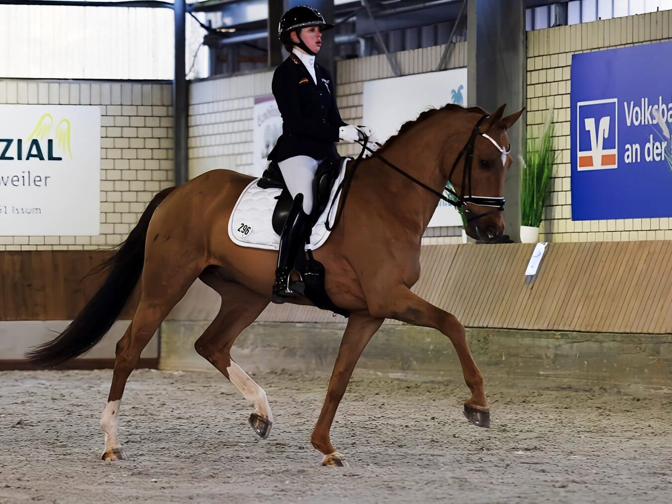 Der Reitverein Blücher Sevelen lädt ein. Foto: privat
