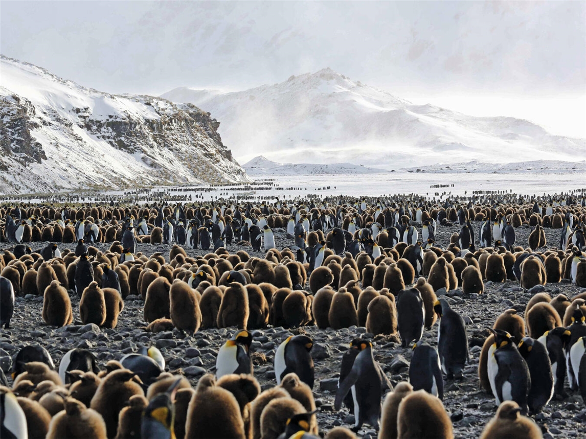 Der renommierte Tierfilmer und Abenteurer berichtet in Oberhausen von seinen Erlebnissen und präsentiert unveröffentlichtes Bildmaterial. Foto: Andreas Kieling