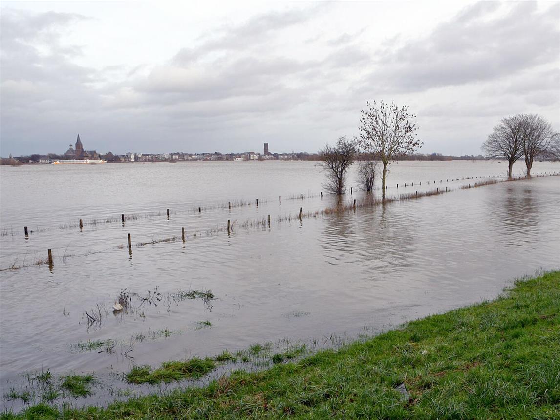 Der Rhein führt zwar Hochwasser, doch ist die Lage auch bei Emmerich „nur“ angespannt, nicht kritisch. NN-Foto: Rüdiger Dehnen