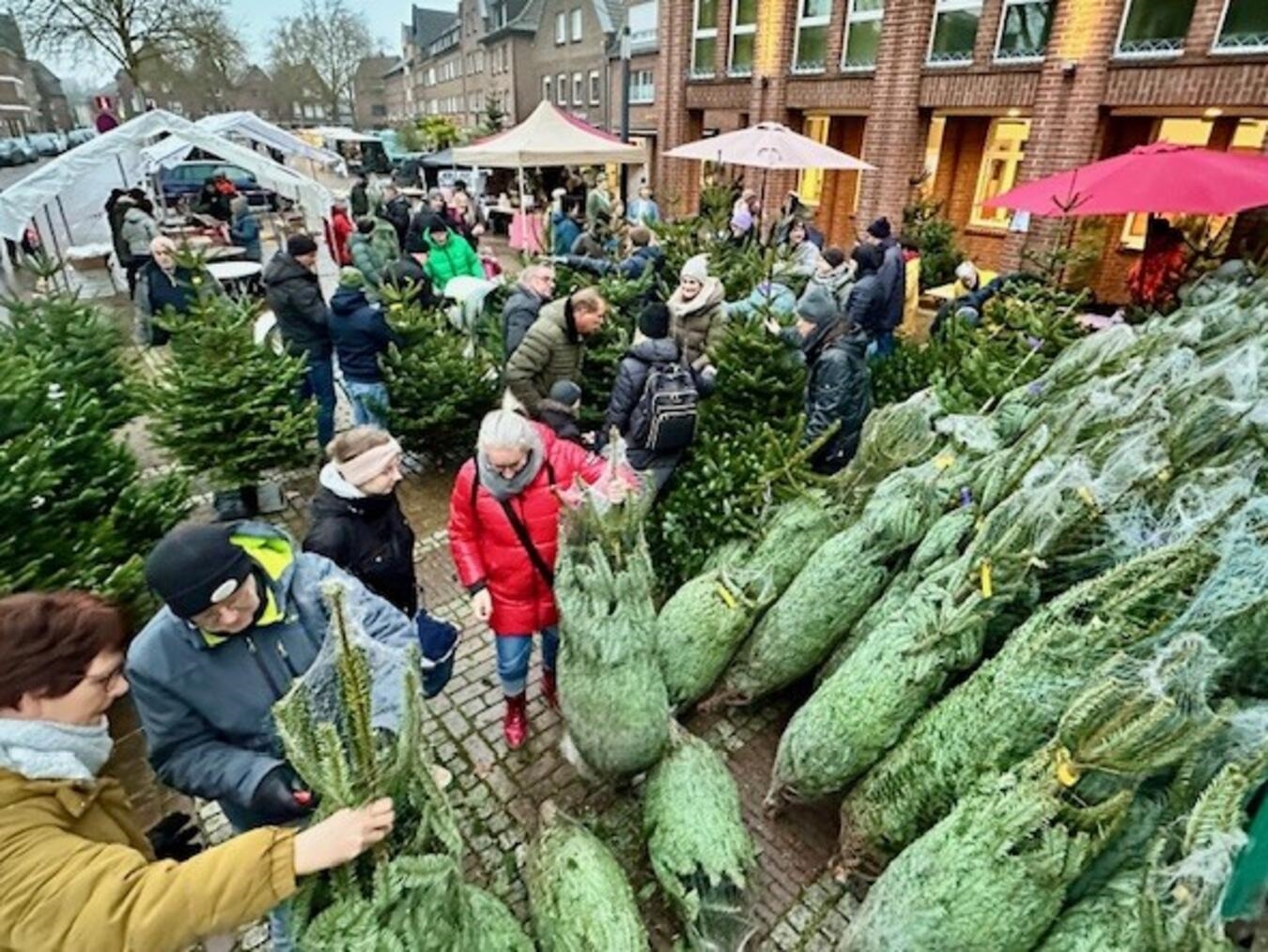 Der Tannenbaumverkauf ist nur ein Teil der großen Spendenaktion auf dem Reeser Markt. Foto: Holger Friedrich