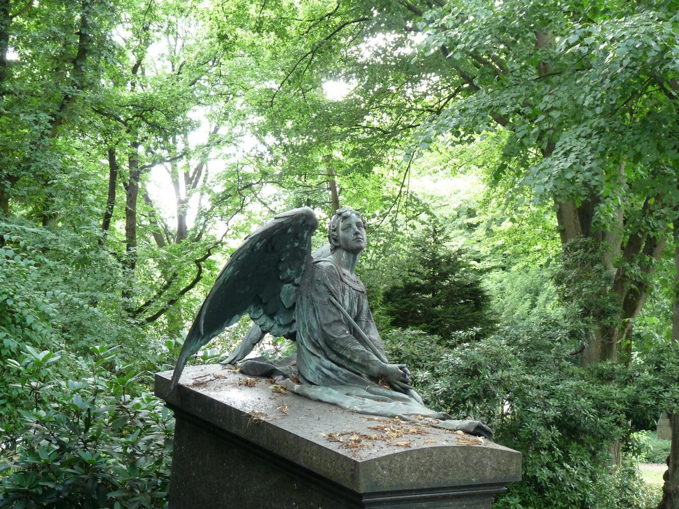 Der über 100 Jahre alte Waldfriedhof an der Merowingerstraße ist mehr als nur ein Begräbnisort – er ist ein lebendiges Zeugnis der Klever Geschichte. Foto: WTM