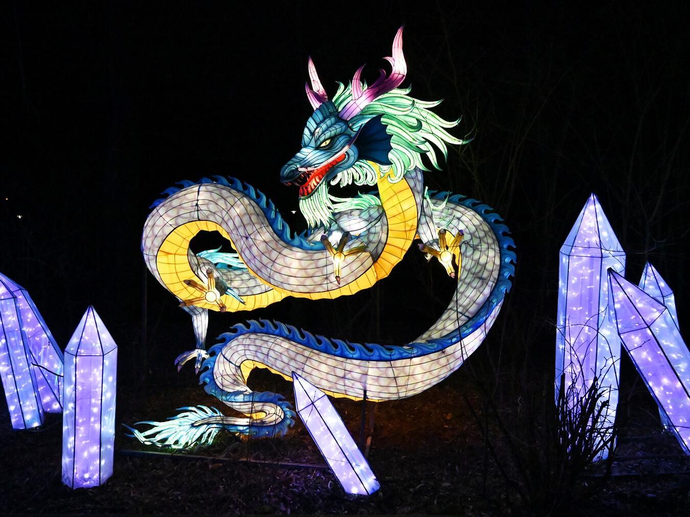 Der Vorverkauf für China Lights Kleve 2025 startet im Sommer 2025. Foto: Tiergarten Kleve