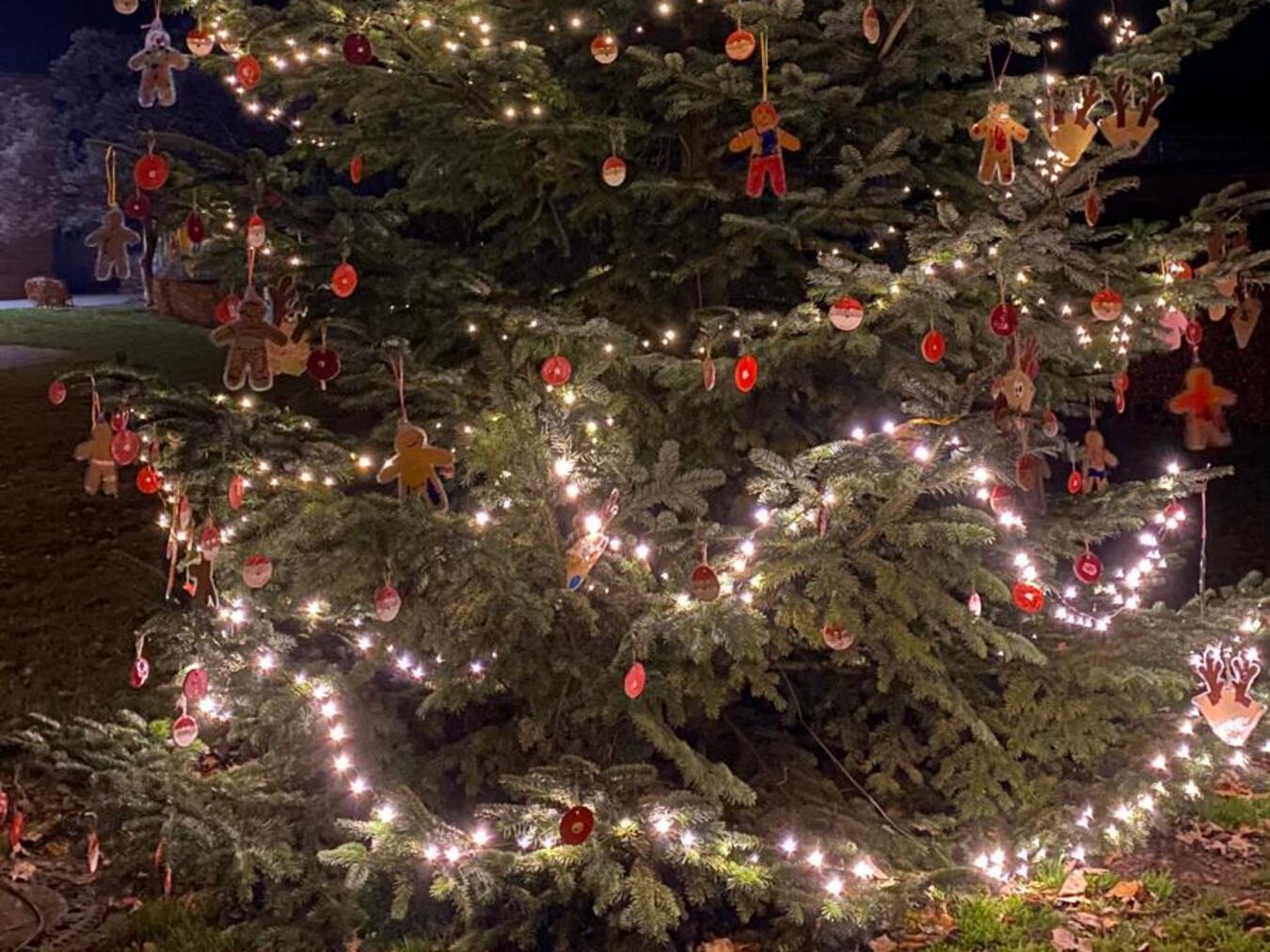 Der Weihnachtsbaum auf demDorfplatz in Millingen. Foto: MMR