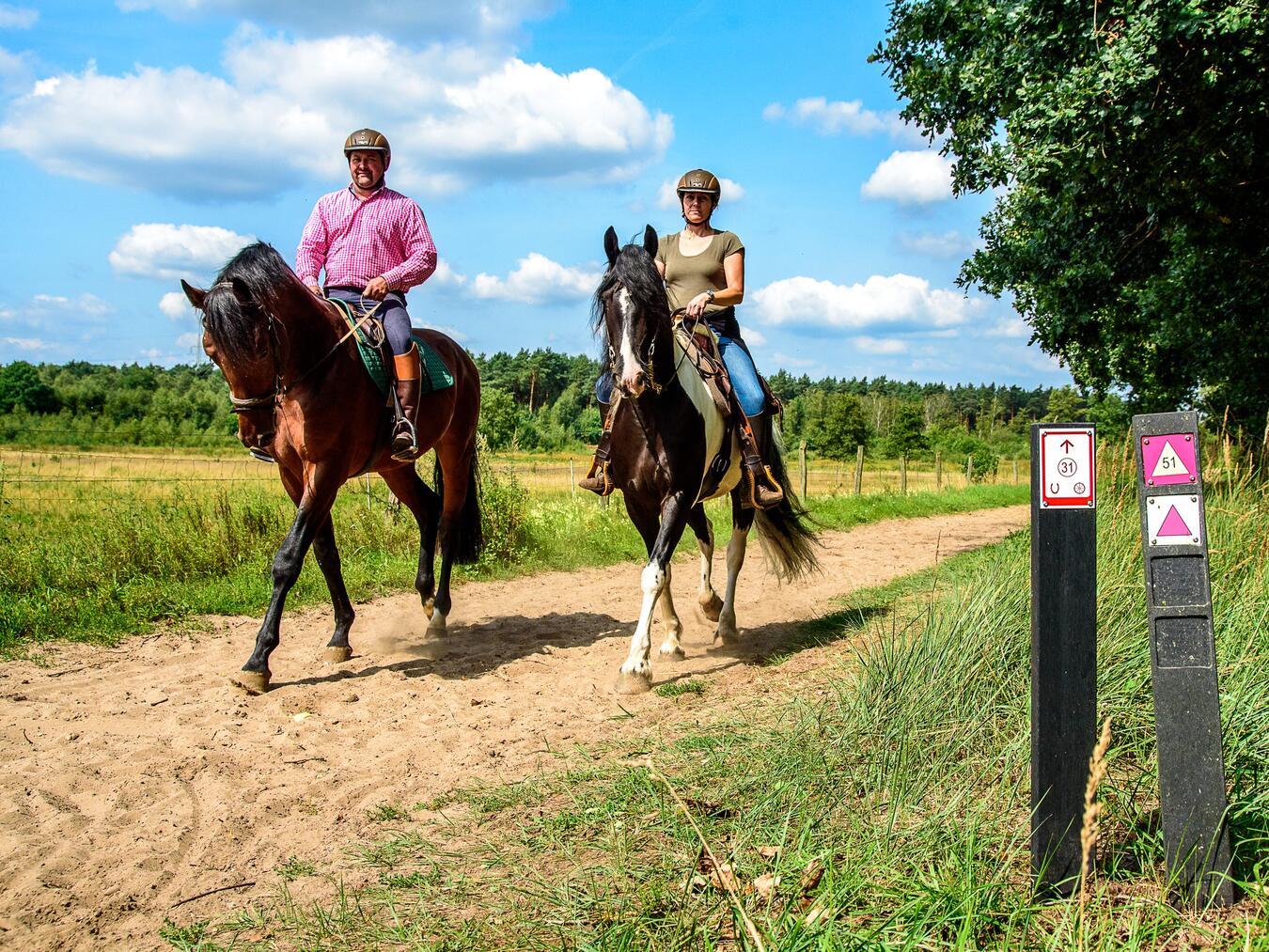 Die abwechslungsreiche Landschaft an der Grenze von NRW und der niederländischen Provinz Limburg lädt zu Reitausflügen ein. Foto: VVV Hart van Limburg / Petra Lenssen