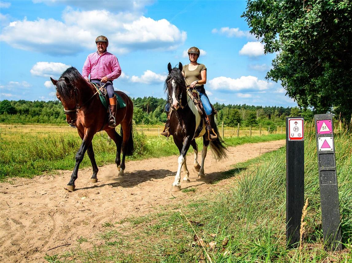 Die abwechslungsreiche Landschaft an der Grenze von NRW und der niederländischen Provinz Limburg lädt zu Reitausflügen ein. Foto: VVV Hart van Limburg / Petra Lenssen