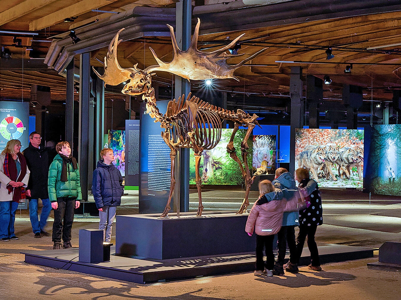 Die aktuelle Ausstellung „Mythos Wald“ im Gasometer Oberhausen wird bis zum 28. November 2027 weitergeführt. Foto: Thomas Wolf