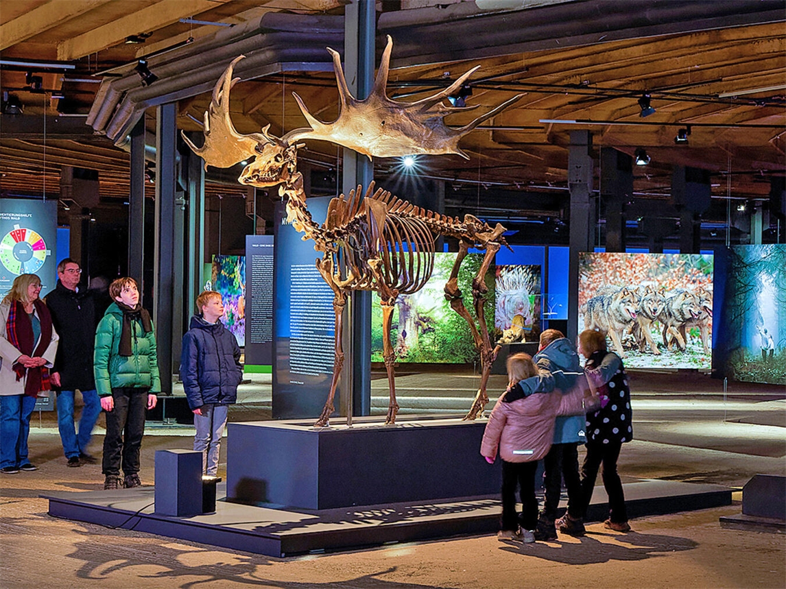Die aktuelle Ausstellung „Mythos Wald“ im Gasometer Oberhausen wird bis zum 28. November 2027 weitergeführt. Foto: Thomas Wolf