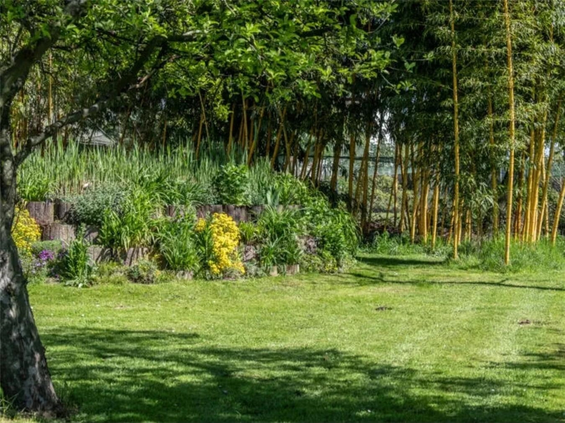Die auch als „Garten am Rheindeich“ bekannte Anlage von Dres. Britta und Detlev Schulz ist ein gelungenes Beispiel für einen naturnahen Garten in Kalkar. Foto: Kurt Michelis