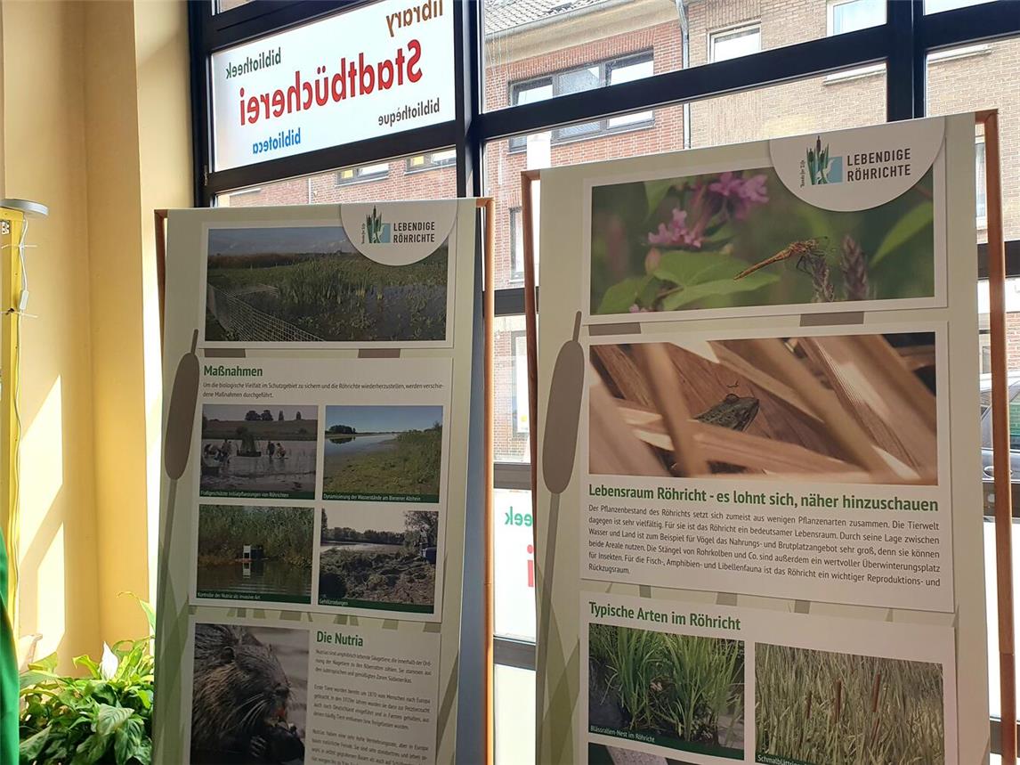 Die Ausstellung in der Emmericher Stadtbücherei ist bis 17. August zu sehen. Foto: privat