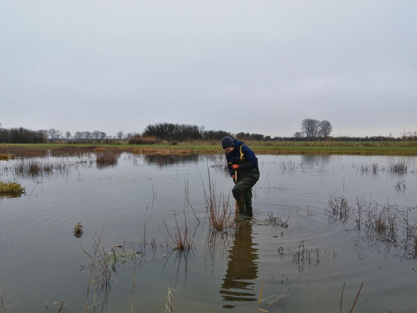 Die Baumsämlinge wachsen zum Teil im Wasser, deswegen werden für den Einsatz neben Spaten auch Wathosen zur Verfügung gestellt. Foto: Nabu-Naturschutzstation Niederrhein