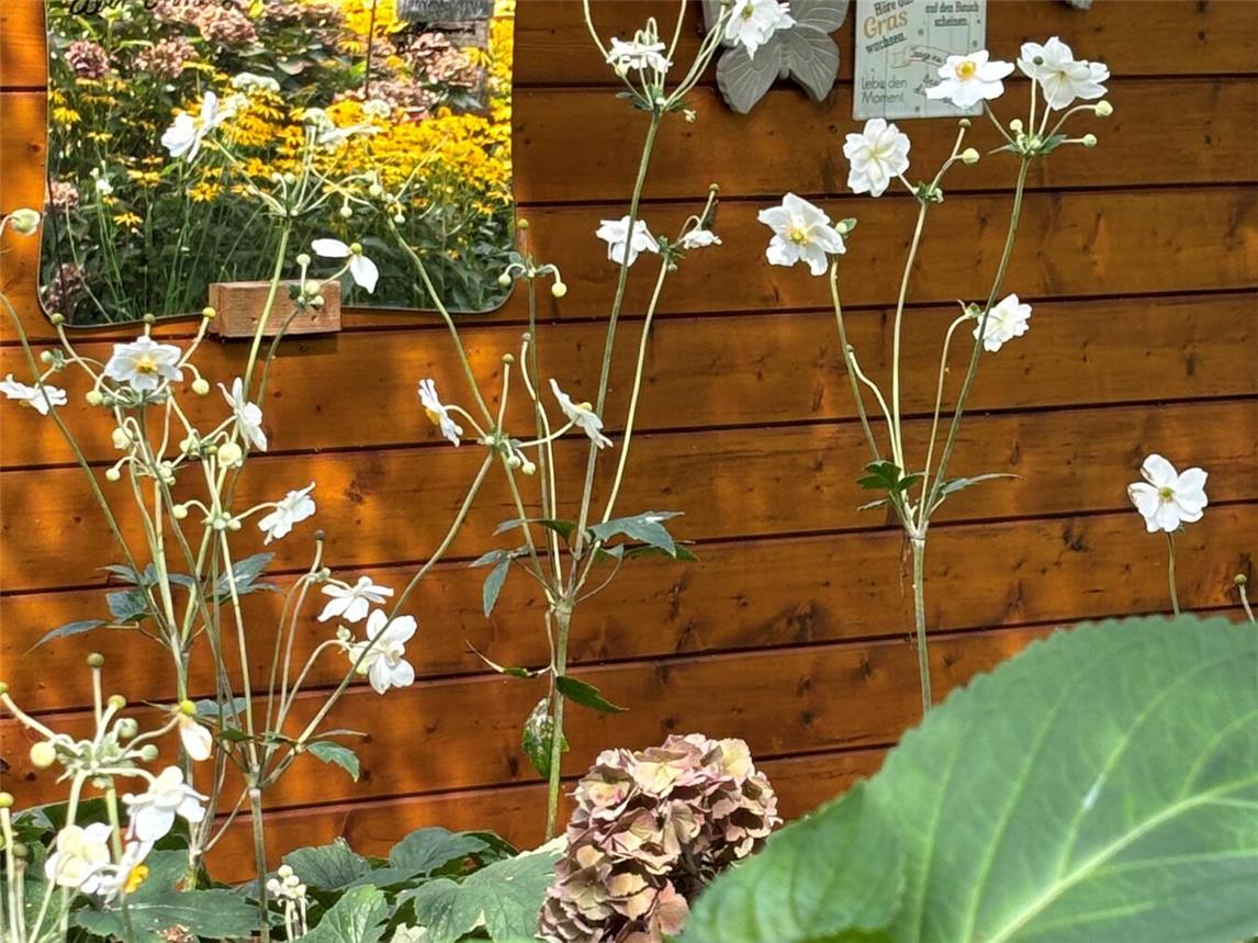 Die Besucher können gerne mit den Gartenbesitzern und untereinander fachsimpeln. Foto: privat