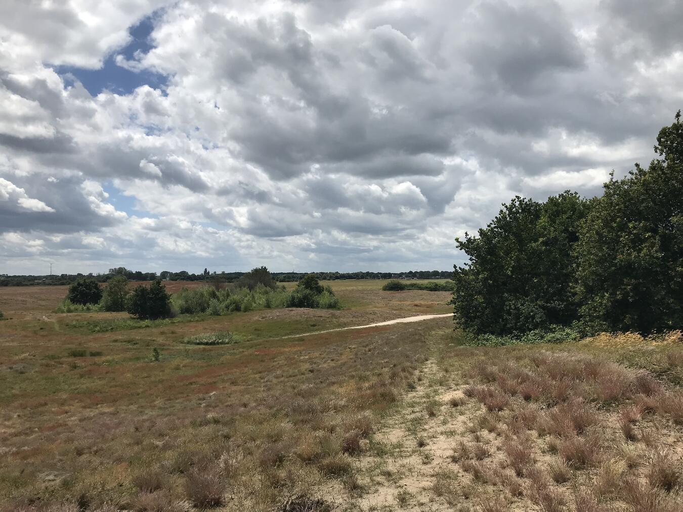 Die Binnendünen mit ihrer einzigartigen Tier- und Pflanzenwelt sind das Highlight der Wanderung. Foto: privat