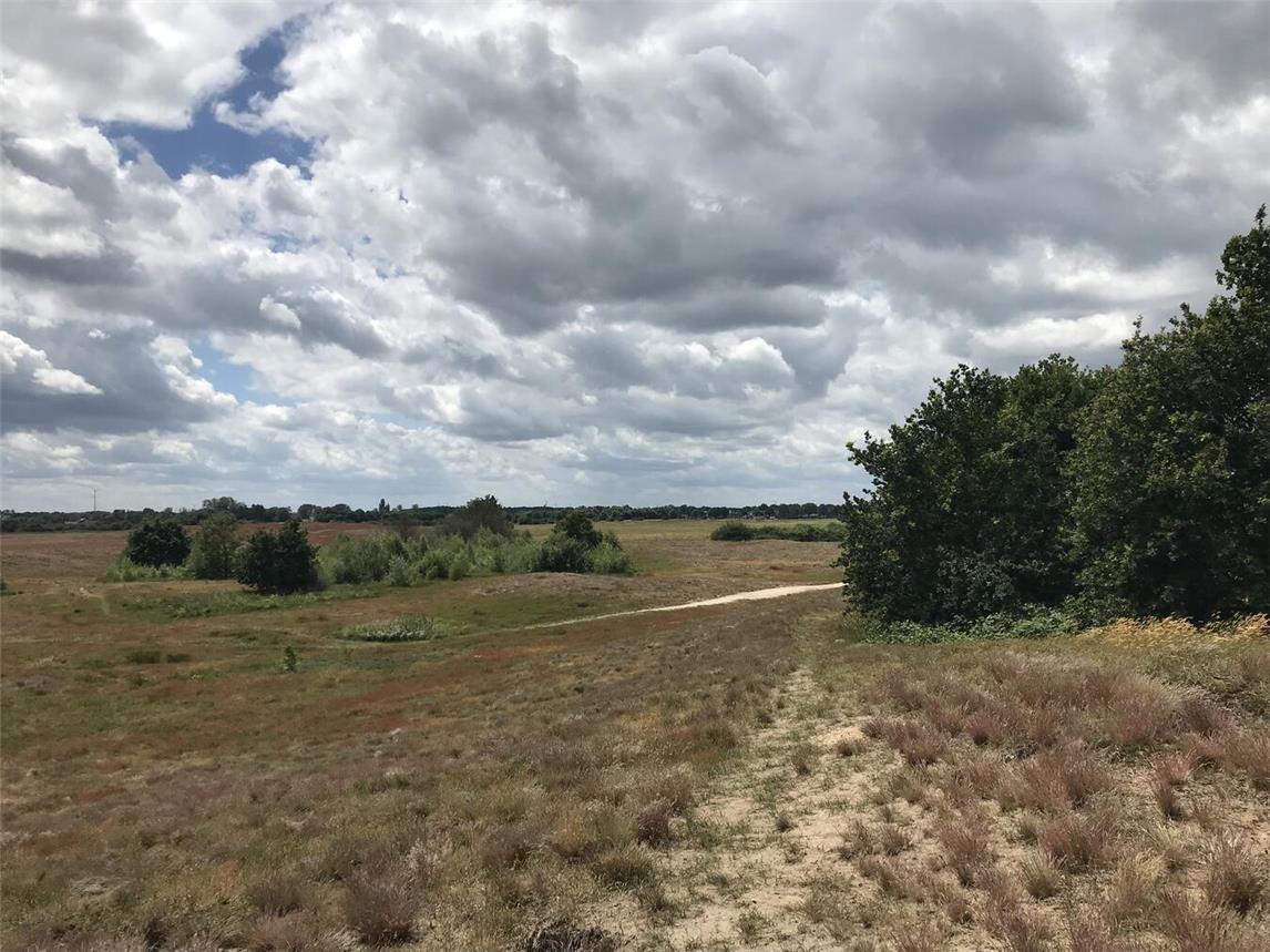 Die Binnendünen mit ihrer einzigartigen Tier- und Pflanzenwelt sind das Highlight der Wanderung. Foto: privat