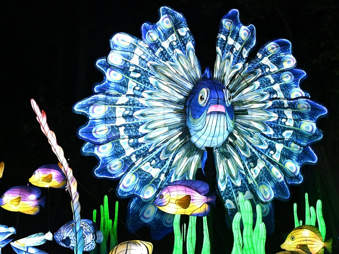 Die China Lights Kleve starten in den Endspurt. Foto: Tiergarten Kleve