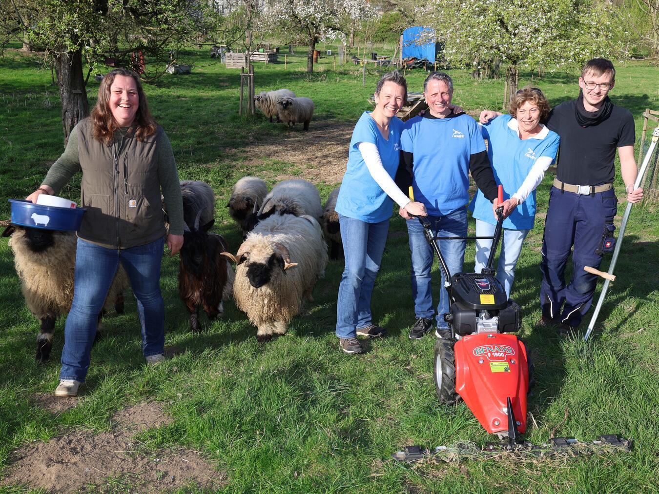 Die Ehrenamtlichen der NABU-Gruppe Rheinberg freuen sich über den neuen Balkenmäher, den die Walliser Schwarznasenschafe von Schäferin Diana Humolka neugierig betrachten. Von rechts: Jan Heddendorp, Sylvia Oelinger, Wolfgang Scholten und Agnes Brinkmann. Foto: Sparkasse am Niederrhein